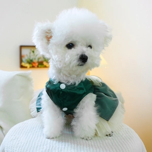 Detailed view of dark green satin dog dress with white buttons and layered mesh tutu