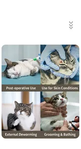 Collar isabelino impermeable para gatos para cuidados postoperatorios y recuperación