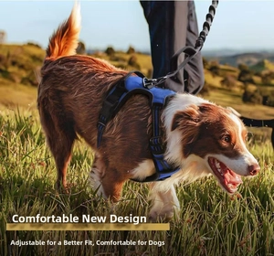 Blue breathable mesh pet harness with reflective straps for large dogs on grass