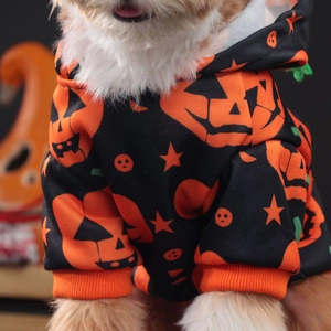Detail of Halloween pumpkin dog hoodie with ribbed cuffs and soft orange knit fabric