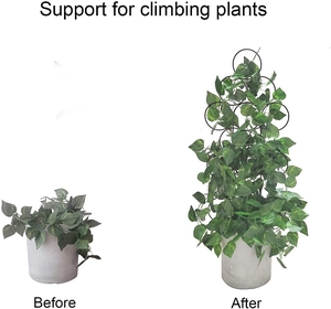 Before and after comparison of plants using the black metal garden trellis support