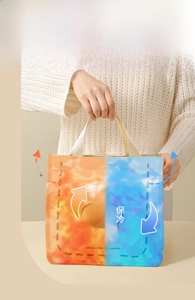 Detail showing the insulated lunch bag with three-layer thermal lining and logo print
