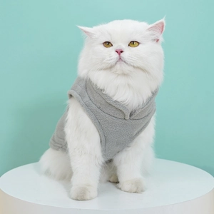 Front view of a white cat wearing a soft grey fleece pet vest on a mint green background