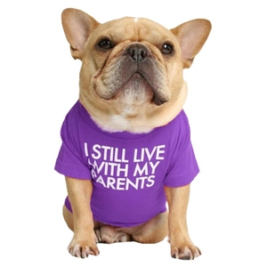 Purple cotton French Bulldog T-shirt with I Still Live With My Parents slogan print