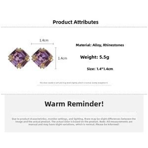 Detailed view of silver needle square zircon earrings with 1.4cm size and 5.5g weight info