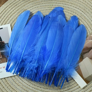 Detailed view of blue goose feathers for DIY wedding decor and dreamcatcher crafts