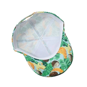 Detail of internal six-panel structure and tropical fruit print on the baseball cap