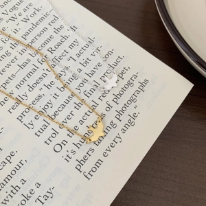 Detailed view of minimalist bird pendant necklaces in gold and silver over book pages