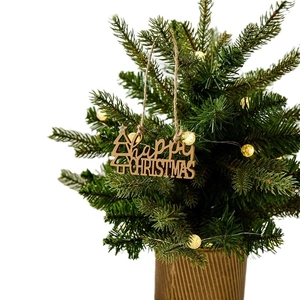 Mini Christmas tree with needles, warm LED lights, and wooden Happy Christmas sign