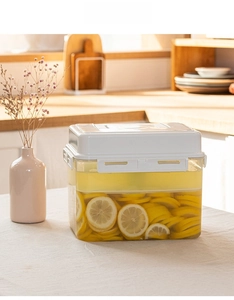 Detailed view of an airtight food container storing sliced lemons in a kitchen