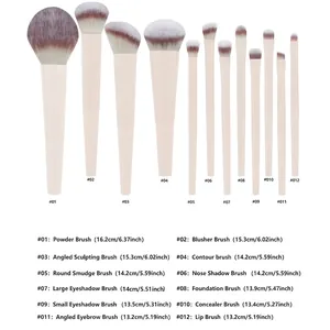 Professional 12-piece makeup brush set with sizes including powder and foundation brushes