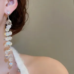 Eleganti orecchini a nappa argentati con cristalli di zircone indossati da una modella