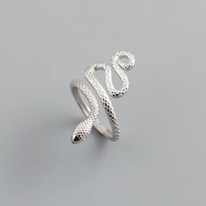 Detailed view of silver snake ring featuring intricate scale textures and open design