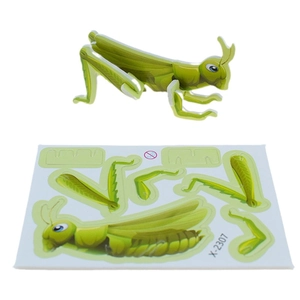 3D grasshopper puzzle parts and assembled insect model on white background