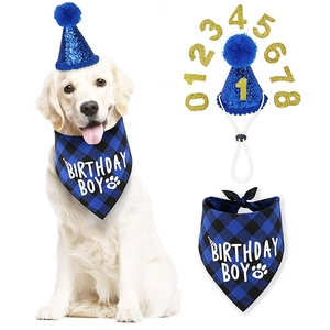 Pet birthday party set featuring a blue plaid bandana, sequin hat, and golden age numbers