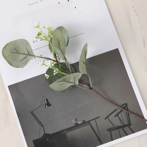 Artificial eucalyptus stem with dusty green leaves on a minimalist magazine background