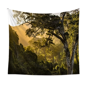 Bohemian forest tapestry featuring sunlit jungle trees for room wall decor