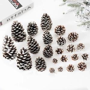 Assorted white tipped pine cones for Christmas DIY decor on white table background