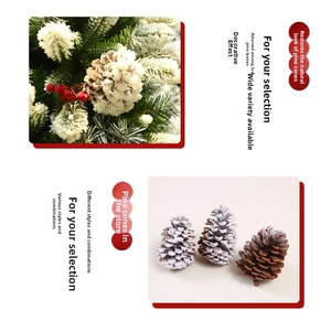 Detail of flocked pine cones in natural and snow finish for Christmas home decoration