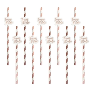 Detailansicht von 10 Team Bride Strohhalmen in Roségold für Junggesellinnenabschied-Deko