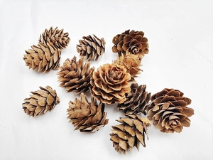 Scattered natural mini pine cones on white fabric for DIY Christmas decor and crafts