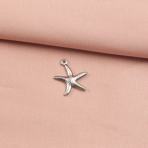 Macro shot of silver metal starfish pendant with textured surface and circular ring