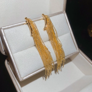 Detailed close-up of golden long tassel earrings with polished bead chains in a luxury box