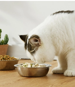 Close-up of a white cat eating from a durable stainless steel pet bowl on a wooden floor