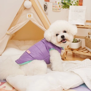 Detail of purple windproof pet vest with silver D-ring on a small white dog