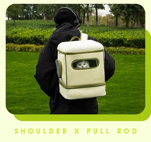 Detail of pet carrier showing the transparent window and breathable mesh in a park