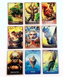 Flat lay of Sea Soul Journey Oracle cards with nature-themed illustrations and text