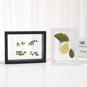 Double-sided glass frame for pressed plant specimens in minimalist black and white