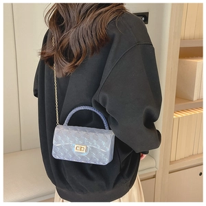 Iridescent quilted jelly bag with metal chain strap shown from a side view on model