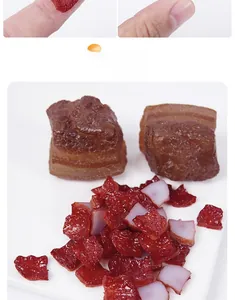Detailed macro view of miniature PVC braised meat model with realistic texture
