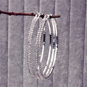 Detailed shot of large silver oversized crystal hoop earrings hanging on a branch