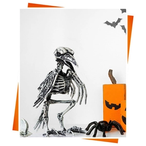 Detailed realistic plastic crow skeleton prop for Halloween decor with aged bone finish