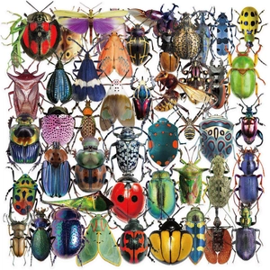 50 stuks waterdichte transparante PET-stickers met kleurrijke cartoon insecten en kevers