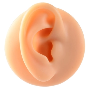 Realistic flesh-toned silicone ear model for piercing practice and jewelry display