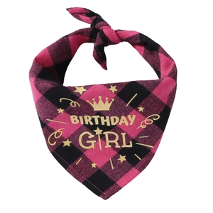 Detailed view of pink plaid cotton dog bandana with golden Birthday Girl text and crown