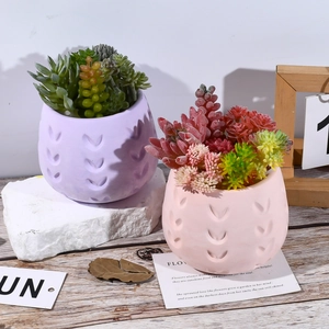 Zwei Sukkulententöpfe mit Herzmuster in Pink und Lila auf einem Holztisch mit Naturlicht