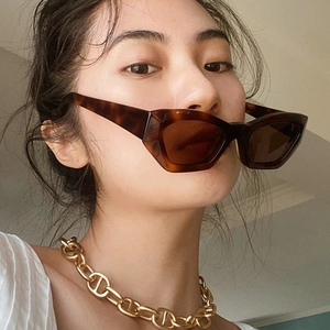 Irregular Cat Eye Sunglasses Women UV400 Protection Trendy Vintage PC Frame AC Lens Fashion Outdoor Eyewear Accessory