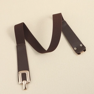 Detailed macro of brown elastic woven belt with dark brown faux leather and gold buckle