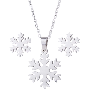 Nahaufnahme eines silbernen Schneeflocken-Schmucksets aus poliertem Edelstahl
