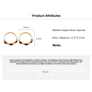 Detail view of 2.5cm gold-plated round earring with brown tiger eye and sparkling zircon