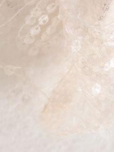 Macro view of beige lace fabric texture with fine sequins and delicate embroidery detail