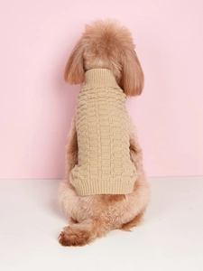 Detail of khaki pet knit sweater showing high collar design and diamond texture