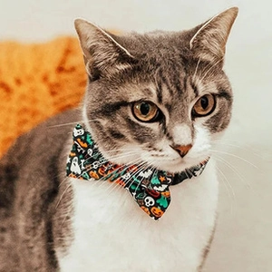 Close-up of Halloween pet bow tie with pumpkin and ghost patterns on a cat