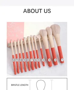 Close-up of 12-piece makeup brush set with orange handles and soft grey bristles