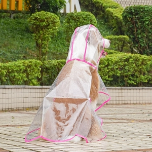 Close-up of a large dog wearing a transparent waterproof PVC raincoat with pink edges