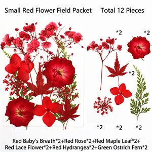 Dettaglio del set di fiori secchi rossi con rose e foglie di acero per progetti in resina